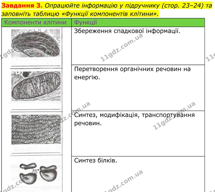 3. Опрацюйте інформацію у підручнику (стор. 23–24) та заповніть таблицю «Функції компонентів клітини». — ГДЗ Робочий зошит Біологія 7 клас Мирна 2024