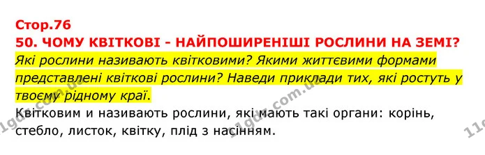 Які рослини називають квітковими? Якими життєвими формами представлені квіткові рослини? Наведи приклади тих, які ростуть у твоєму — ГДЗ Я досліджую світ 3 клас Грущинська (1 частина)