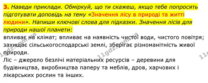 3. Наведи приклади. Обміркуй, що ти скажеш, якщо тебе попросять підготувати доповідь на тему «Значення лісу в природі та житті — ГДЗ Робочий зошит Я досліджую світ 4 клас Грущинська