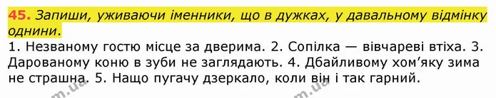 45. Запиши, уживаючи іменники, що в дужках, у давальному відмінку однини. — ГДЗ Українська мова 4 клас Вашуленко 2021 (1 частина)