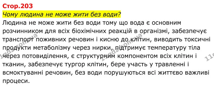 Стор. 203 — 1 — ГДЗ Біологія 8 клас Балан — ГДЗ Біологія 8 клас Балан
