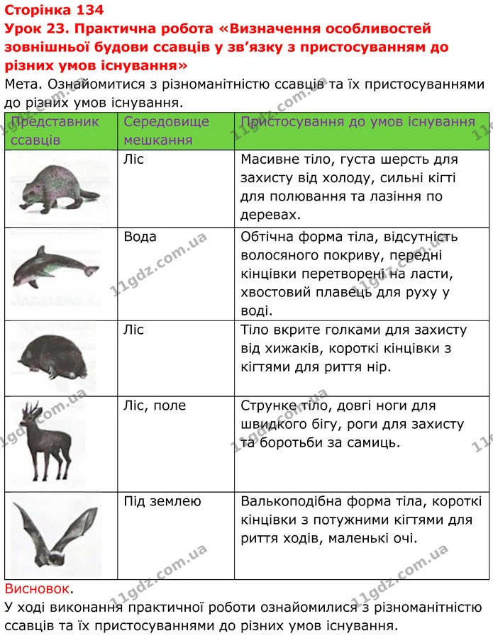 Урок 23. Практична робота «Визначення особливостей зовнішньої будови ссавців у зв’язку з пристосуванням до різних умов існування» — ГДЗ Робочий зошит Біологія 7 клас Мирна 2024