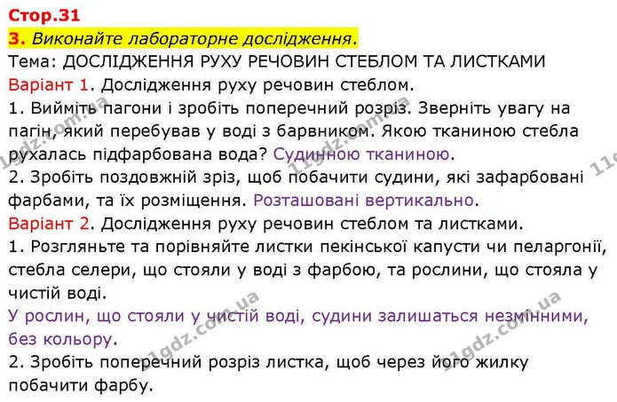 3. Виконайте лабораторне дослідження. — ГДЗ робочий зошит Біологія 7 клас Кулініч