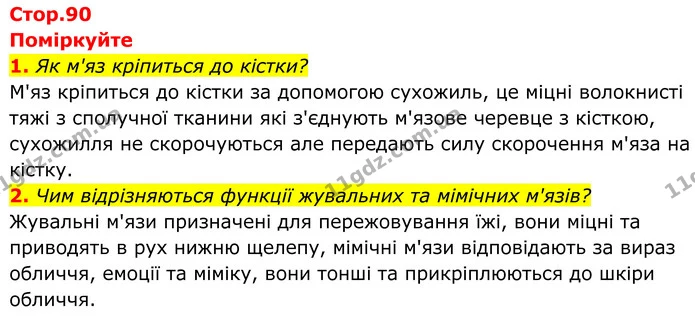 1. Як м'яз кріпиться до кістки? — ГДЗ Біологія 8 клас Балан