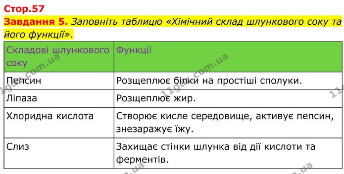 Стор. 57 — 5 — ГДЗ Робочий зошит біологія 8 клас Мирна — ГДЗ Робочий зошит біологія 8 клас Мирна