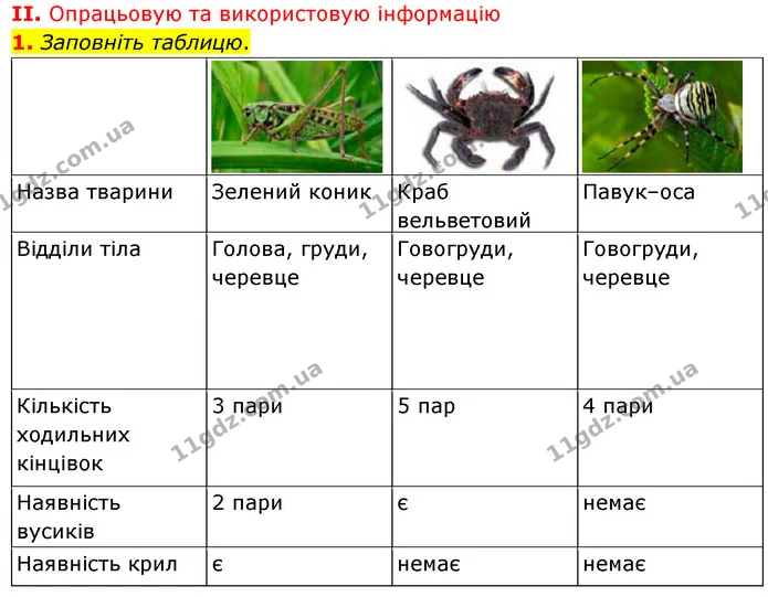 Стор. 206 — Стр.206 (2.1) — ГДЗ Біологія 7 клас Балан — ГДЗ Біологія 7 клас Балан