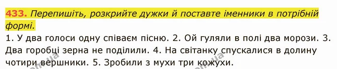 433. Перепишіть, розкрийте дужки й поставте іменники в потрібній формі. — ГДЗ Українська мова 6 клас Глазова