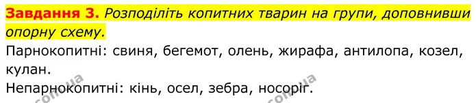 3. Розподіліть копитних тварин на групи, доповнивши опорну схему. — ГДЗ Робочий зошит Біологія 7 клас Мирна 2024