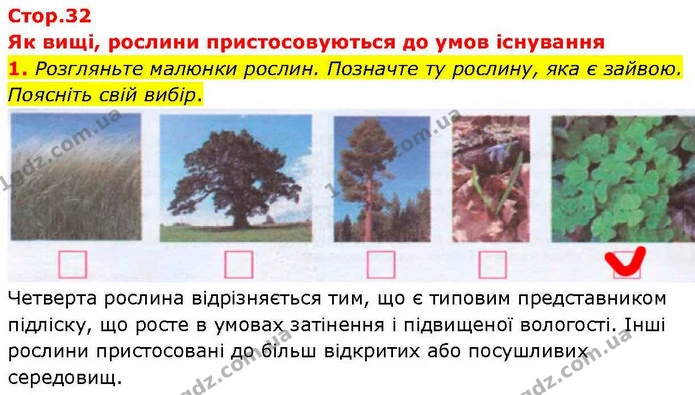 1. Розгляньте малюнки рослин. Позначте ту рослину, яка є зайвою. Поясніть свій вибір. — ГДЗ робочий зошит Біологія 7 клас Кулініч