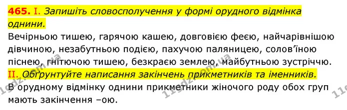 465. І. Запишіть словосполучення у формі орудного відмінка однини. — ГДЗ Українська мова 6 клас Заболотний 2023
