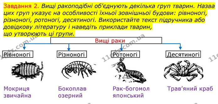 Стор. 20 — 2 (2) — ГДЗ Робочий зошит з Біології 7 клас Яременко — ГДЗ Робочий зошит з Біології 7 клас Яременко