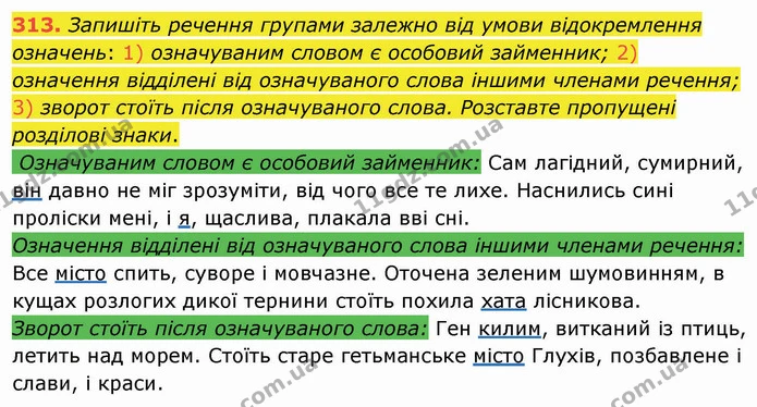 313. Запишіть речення групами залежно від умови відокремлення означень: 1) означуваним словом є особовий займенник; 2) означення — ГДЗ Українська мова 8 клас Заболотний 2021