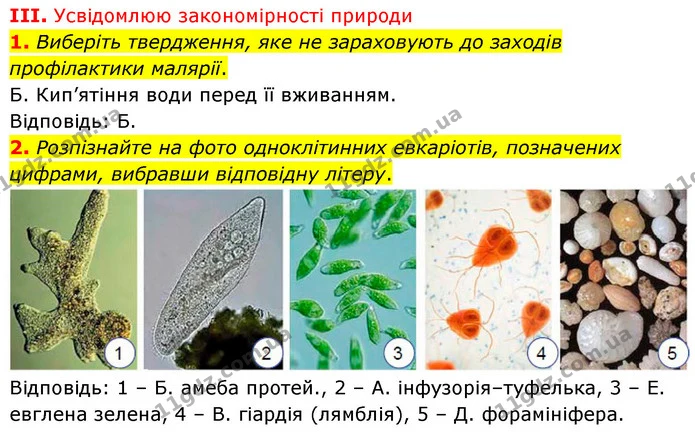 Стор. 46 — Стр.46 (3.1-2) — ГДЗ Біологія 7 клас Балан — ГДЗ Біологія 7 клас Балан