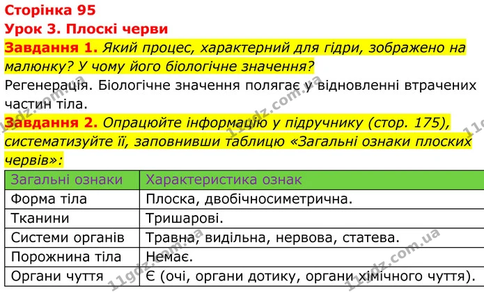 1. Який процес, характерний для гідри, зображено на малюнку? У чому його біологічне значення? — ГДЗ Робочий зошит Біологія 7 клас Мирна 2024
