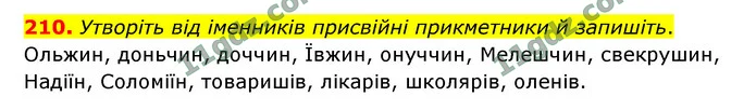 210. Утворіть від іменників присвійні прикметники й запишіть. — ГДЗ Українська мова 9 клас Заболотний