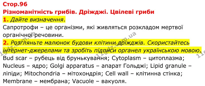1. Дайте визначення. — ГДЗ робочий зошит Біологія 7 клас Кулініч