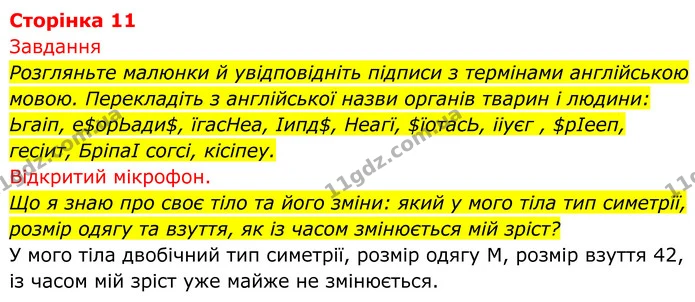 Стор. 11 — 1 — ГДЗ Біологія 8 клас Тагліна — ГДЗ Біологія 8 клас Тагліна