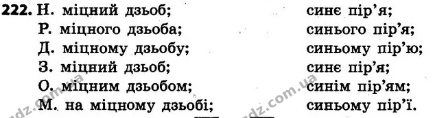 222 — ГДЗ Українська мова 4 клас Варзацька