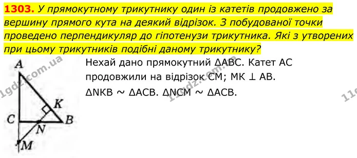 1303. У прямокутному трикутнику один із катетів продовжено за вершину прямого кута на деякий відрізок. З побудованої точки проведено — ГДЗ Геометрія 8 клас Бурда