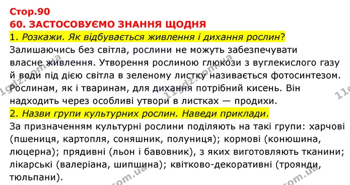 1. Розкажи. Як відбувається живлення і дихання рослин? — ГДЗ Я досліджую світ 3 клас Грущинська (1 частина)