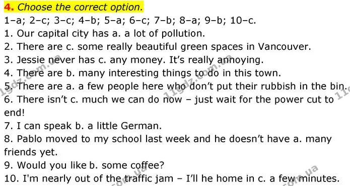 4. Choose the correct option. — ГДЗ робочий зошит Англійська мова 8 клас Гарет Джонс 2025