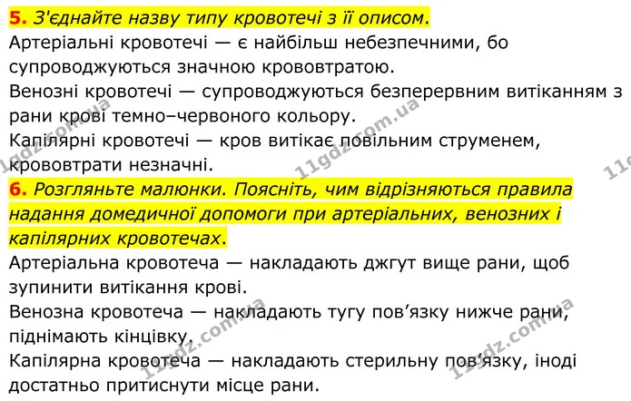 1. Виберіть і позначте V всі правильні твердження щодо великого і малого кола кровообігу. — частина 5 — ГДЗ Робочий зошит Біологія 8 клас Тагліна (2025)