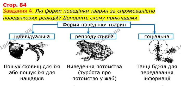 Стор. 84 — 4 — ГДЗ Робочий зошит з Біології 7 клас Яременко — ГДЗ Робочий зошит з Біології 7 клас Яременко