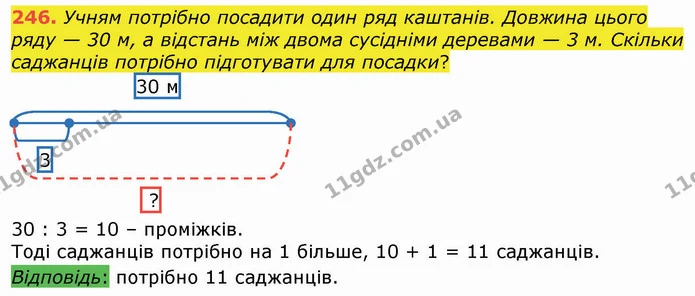 246. Учням потрібно посадити один ряд каштанів. Довжина цього ряду — 30 м, а відстань між двома сусідніми деревами — 3 м. Скільки — ГДЗ Математика 4 клас Оляницька