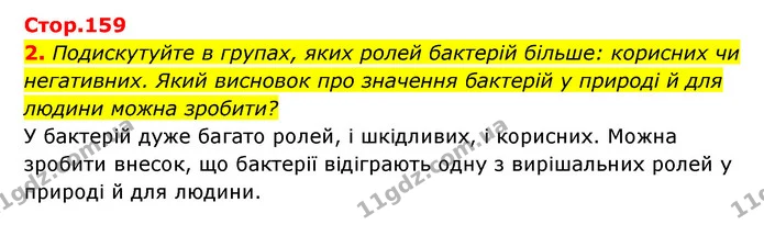 2. Подискутуйте в групах, яких ролей бактерій більше: корисних чи негативних. Який висновок про значення бактерій у природі й для — ГДЗ Пізнаємо природу 5 клас Біда