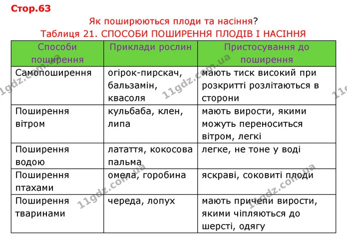 Стор. 63 — 1 — ГДЗ Робочий зошит Біологія 6 клас Соболь — ГДЗ Робочий зошит Біологія 6 клас Соболь