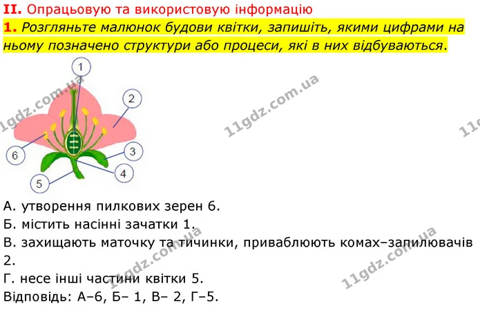 Стор. 131 — Стр.131 (2.1) — ГДЗ Біологія 7 клас Балан — ГДЗ Біологія 7 клас Балан