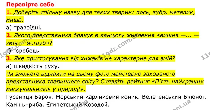 1. Які живі організми можуть утворювати живу масу, використовуючи сонячну енергію та прості речовини ґрунту, води та повітря? — ГДЗ Пізнаємо природу 6 клас Мідак