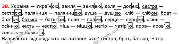38 — ГДЗ Українська мова 5 клас Глазова 2018 — ГДЗ Українська мова 5 клас Глазова 2018