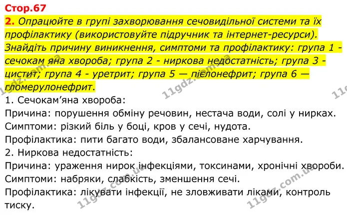 2. Опрацюйте в групі захворювання сечовидільної системи та їх профілактику (використовуйте підручник та інтернет-ресурси). Знайдіть — ГДЗ Робочий зошит Біологія 8 клас Кулініч