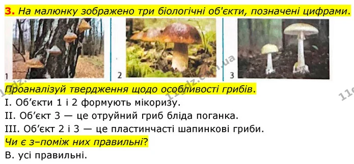 3. На малюнку зображено три біологічні об'єкти, позначені цифрами. — ГДЗ робочий зошит Біологія 7 клас Тагліна