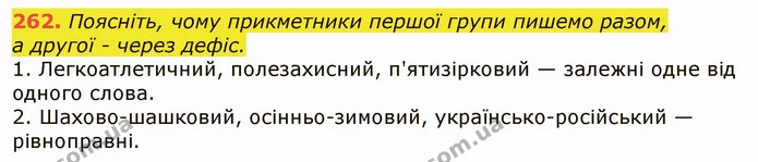 262. Поясніть, чому прикметники першої групи пишемо разом, — ГДЗ Українська мова 6 клас Заболотний 2019