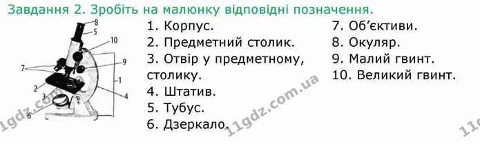 Стор. 7 — 2 — ГДЗ Робочий зошит Біологія 6 клас Мечник — ГДЗ Робочий зошит Біологія 6 клас Мечник