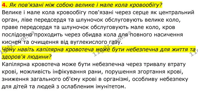 4. Як пов'язані між собою велике і мале кола кровообігу? — ГДЗ Біологія 8 клас Балан