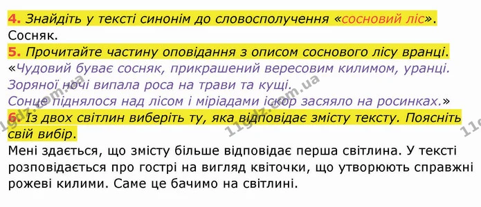 4. Знайдіть у тексті синонім до словосполучення «сосновий ліс». — ГДЗ Українська мова та читання 4 клас Богданець-Білоскаленко