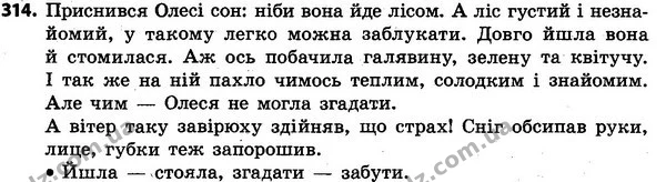 314 — ГДЗ Українська мова та читання 4 клас Захарійчук 2015