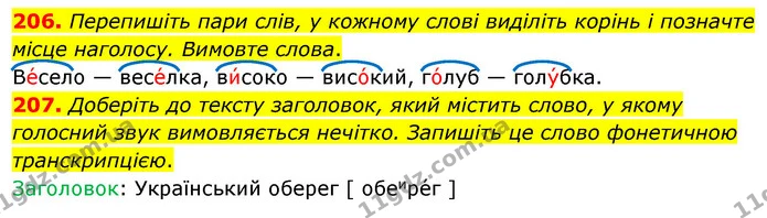 206. Перепишіть пари слів, у кожному слові виділіть корінь і позначте місце наголосу. Вимовте слова. — ГДЗ Українська мова 5 клас Глазова 2022