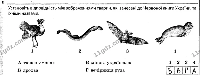 Стор. 60 — 5 — ГДЗ Робочий зошит Біологія 7 клас Задорожний — ГДЗ Робочий зошит Біологія 7 клас Задорожний