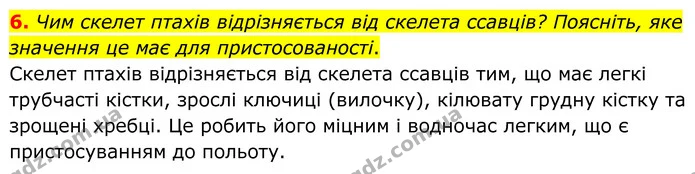 1. На малюнку зображено чотири біологічні об'єкти, позначені цифрами. — частина 6 — ГДЗ Робочий зошит Біологія 8 клас Тагліна (2025)
