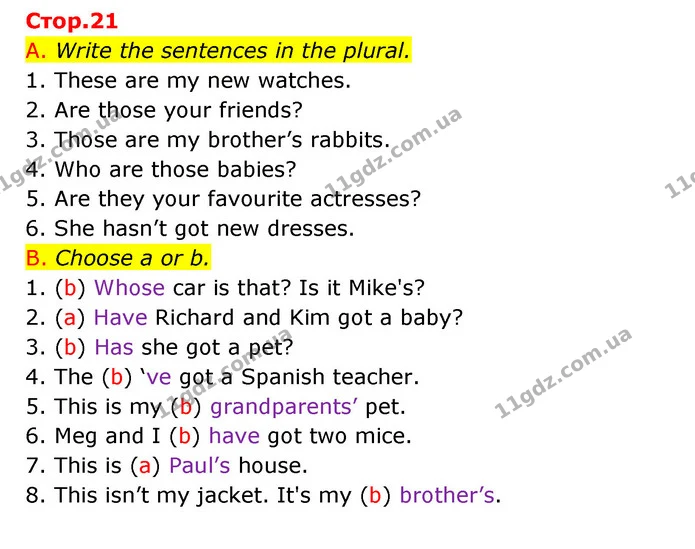 A. Write the sentences in the plural. — ГДЗ Зошит граматика Англійська мова Мітчелл