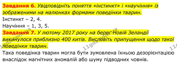 6. Увідповідніть поняття «інстинкт» і «научіння» із зображеними на малюнках формами поведінки тварин. — ГДЗ Робочий зошит Біологія 7 клас Мирна 2024