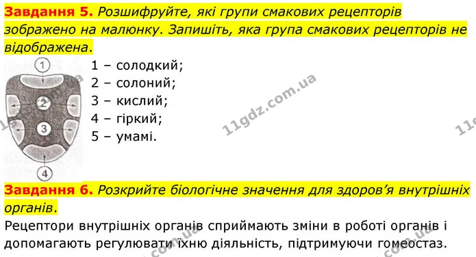 Стор. 114 — 5-6 — ГДЗ Робочий зошит біологія 8 клас Мирна — ГДЗ Робочий зошит біологія 8 клас Мирна