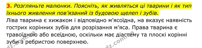 Стор. 97 — 3 — ГДЗ Біологія 8 клас Тагліна — ГДЗ Біологія 8 клас Тагліна