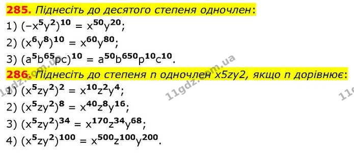 285. Піднесіть до десятого степеня одночлен: — ГДЗ Алгебра 7 клас Тарасенкова 2024