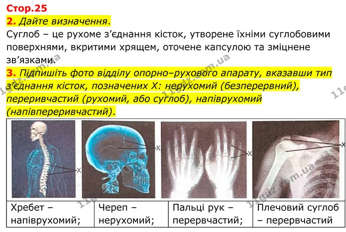 2. Дайте визначення. — ГДЗ Робочий зошит Біологія 8 клас Кулініч