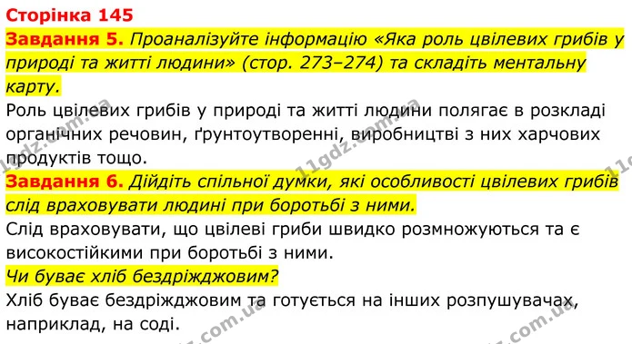5. Проаналізуйте інформацію «Яка роль цвілевих грибів у природі та житті людини» (стор. 273–274) та складіть ментальну карту. — ГДЗ Робочий зошит Біологія 7 клас Мирна 2024